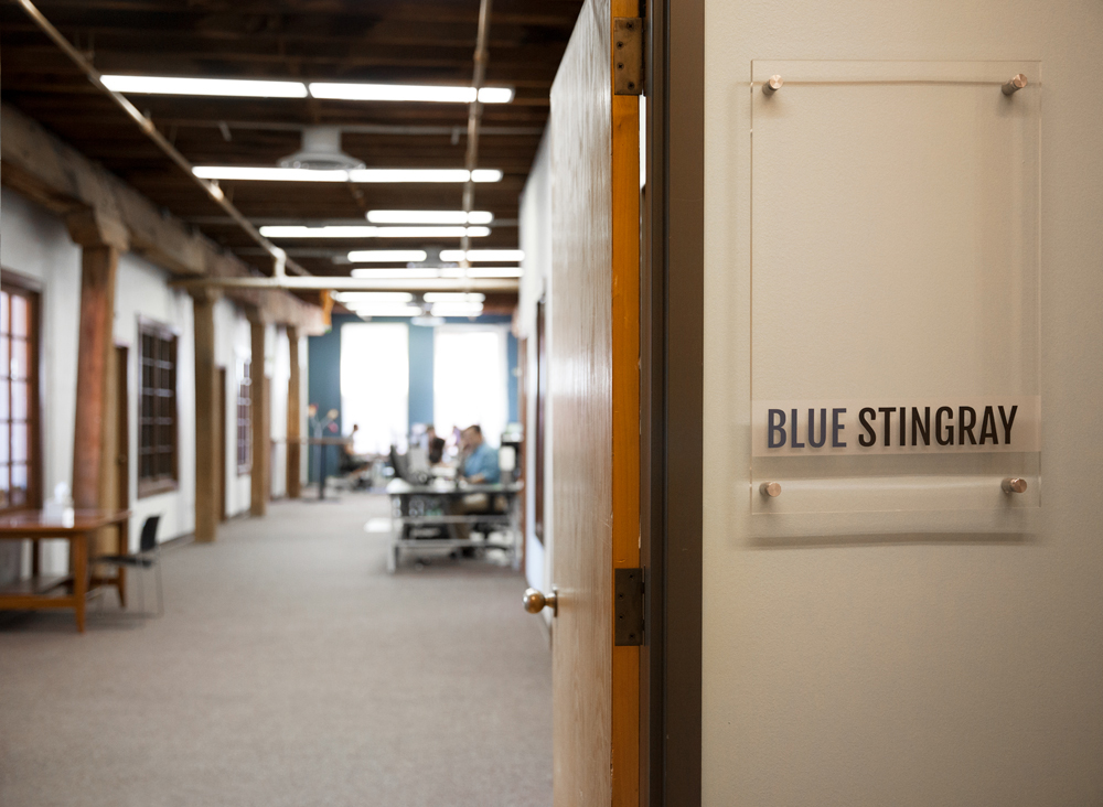 Blue Stingray Office
